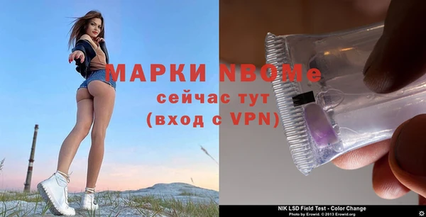 индика Алексеевка