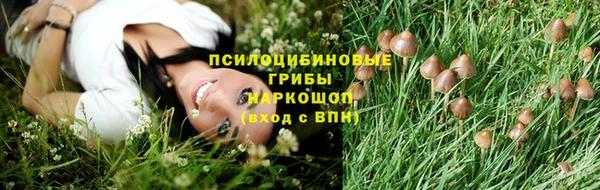 прущий лед Алексин