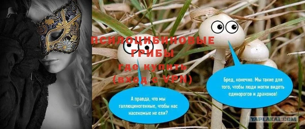 прущий лед Алексин