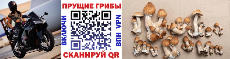 Псилоцибиновые грибы ЛСД Ярцево